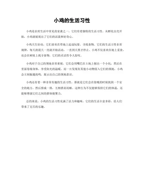 小鸡的生活习性