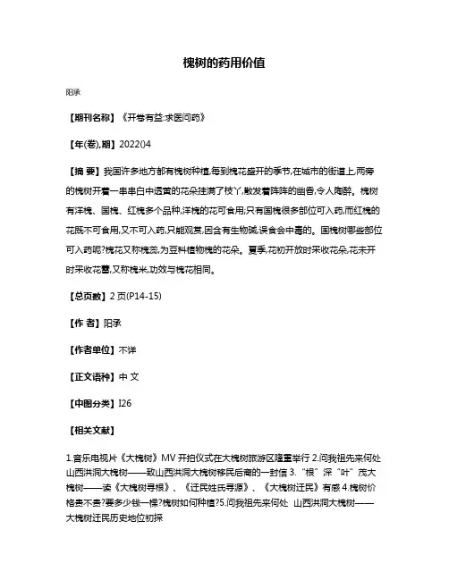 槐树的药用价值