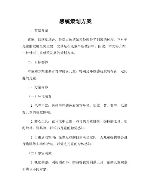 感统策划方案