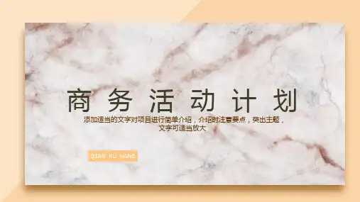 商务极简约报告计划总结汇报 (12)PPT模板
