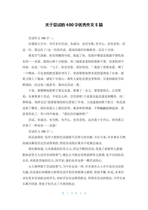 关于尝试的400字优秀作文5篇