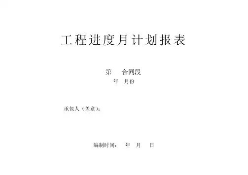 工程进度月计划报表