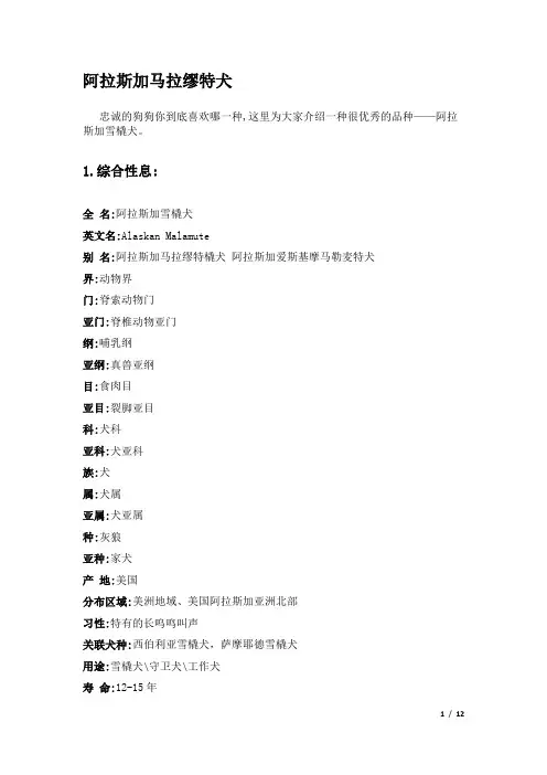 阿拉斯加马拉缪特犬
