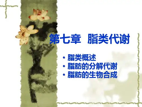 第七章  脂类代谢(制药)精品PPT课件