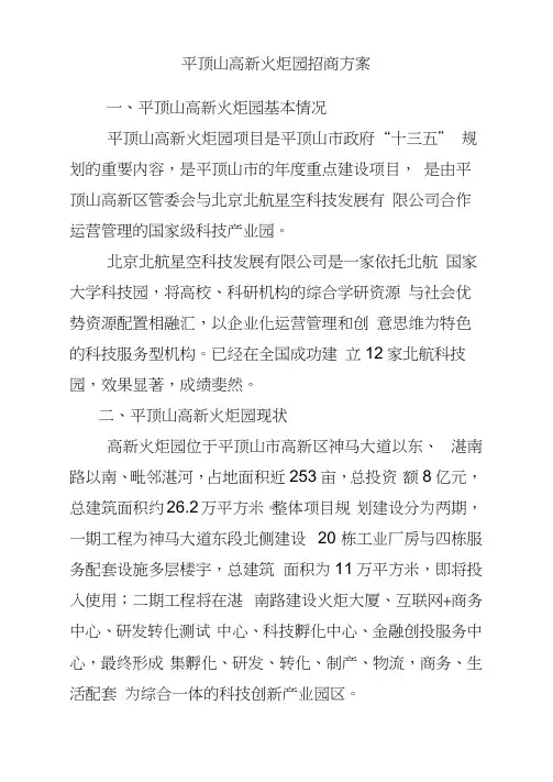 平顶山高新火炬产业园招商方案