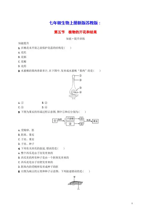 七年级生物上册第3单元第5章绿色植物的一生第五节植物的开花和结果课后习题新版苏教版(含答案)