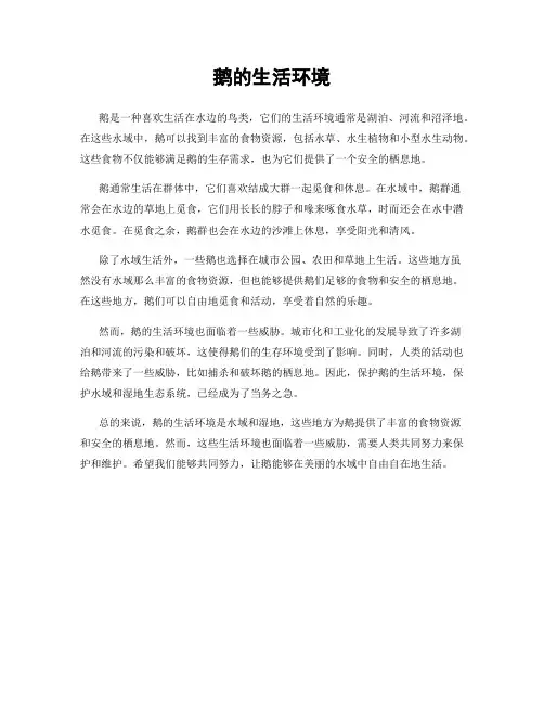 鹅的生活环境