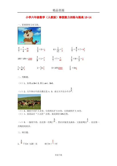 (数学人教版)六年级寒假能力训练与提高 14.doc