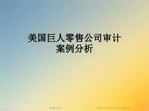 美国巨人零售公司审计案例分析