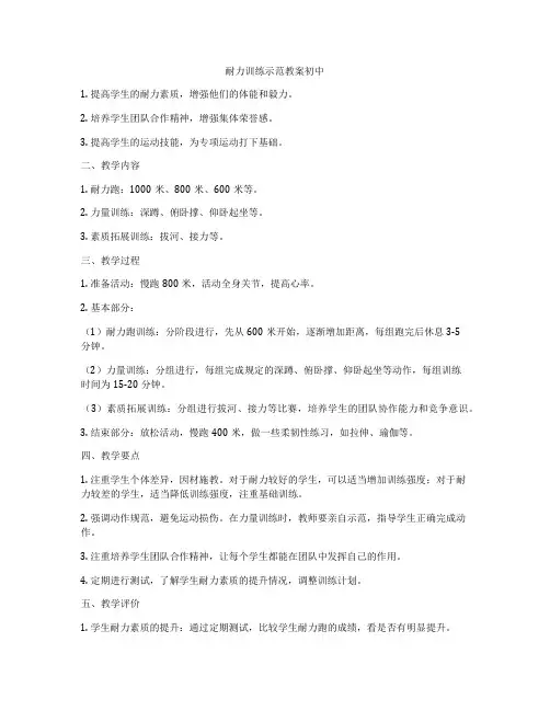 耐力训练示范教案初中