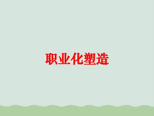 职业化塑造(ppt-45页)