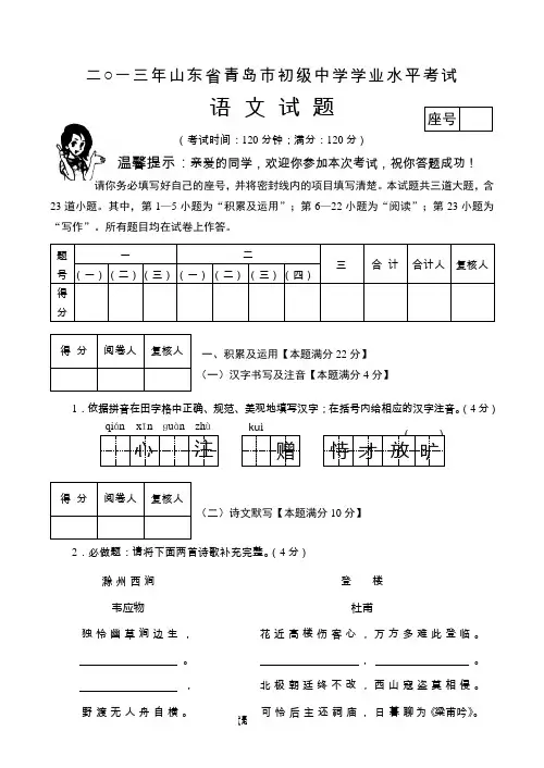 2013年青岛市中考初中语文试题论述