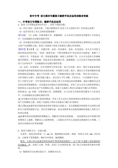 初中中考 语文期末专题复习修辞手法及运用训练含答案