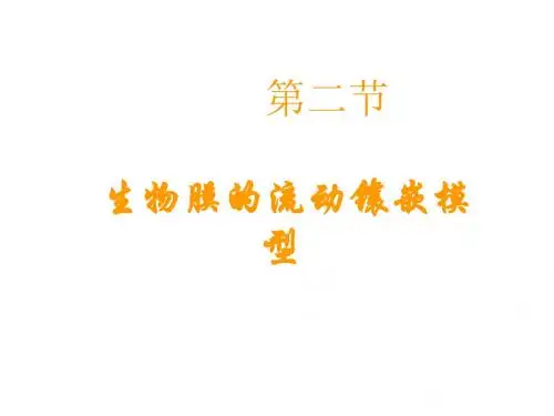 高一生物生物膜的流动镶嵌模型3