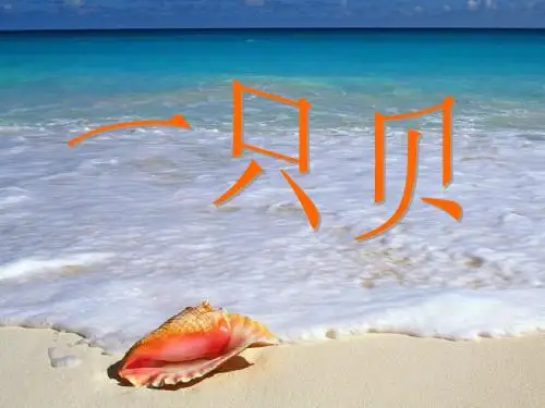 长春版语文五下《一只贝》精品课件