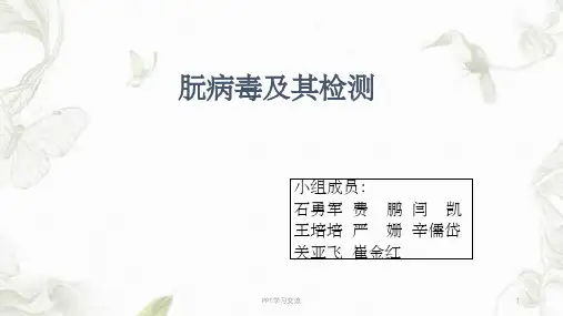 朊病毒及其检测课件