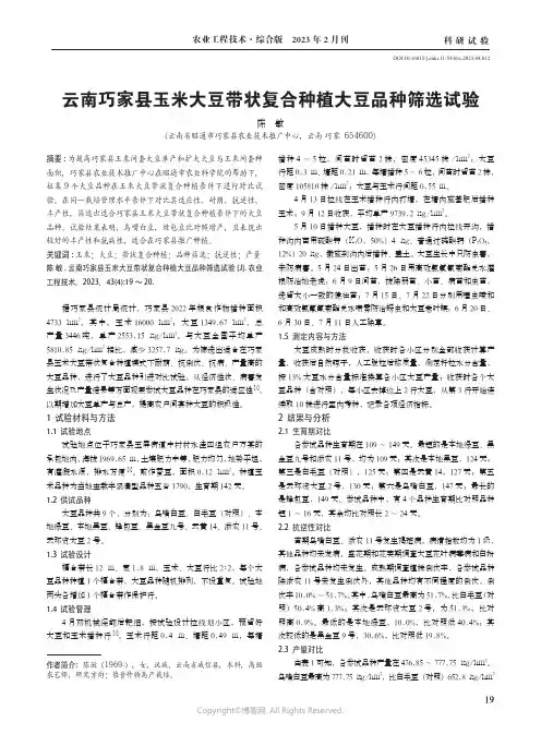 211180520_云南巧家县玉米大豆带状复合种植大豆品种筛选试验