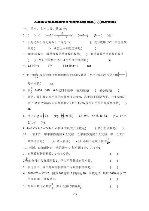 人教版六年级数学下册专项复习检测卷(数与代数)附答案