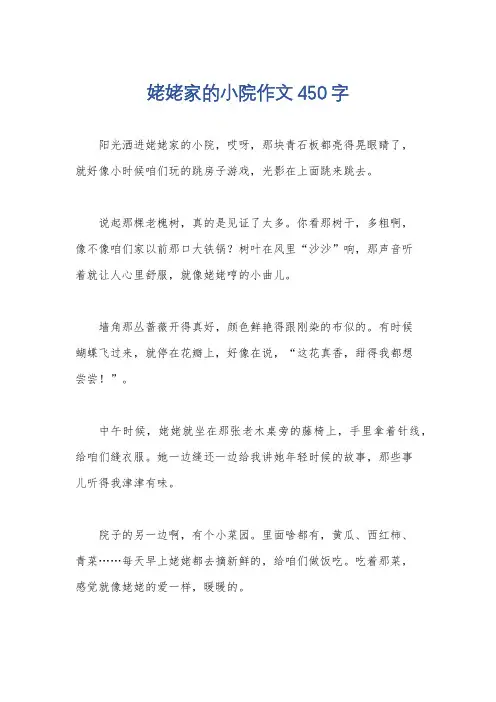 姥姥家的小院作文450字