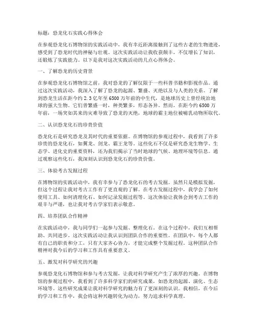 恐龙化石实践心得体会
