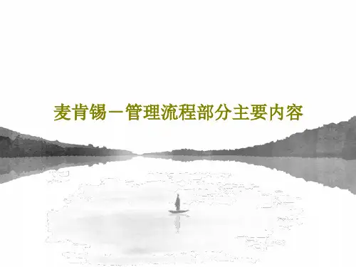 麦肯锡-管理流程部分主要内容共51页文档