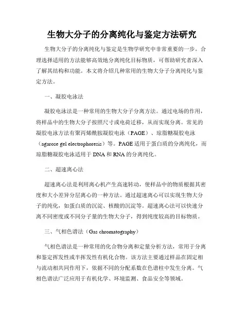 生物大分子的分离纯化与鉴定方法研究