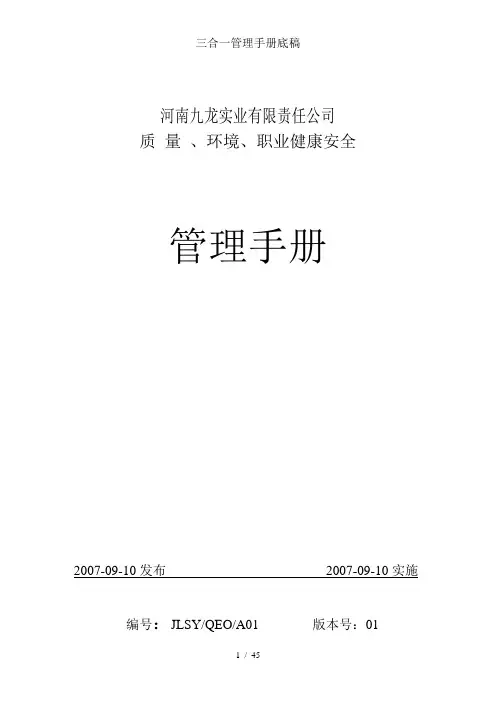 三合一管理手册底稿