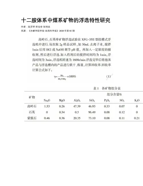 十二胺体系中煤系矿物的浮选特性研究