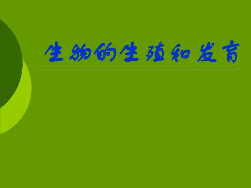 人的生殖和胚胎发育PPT课件