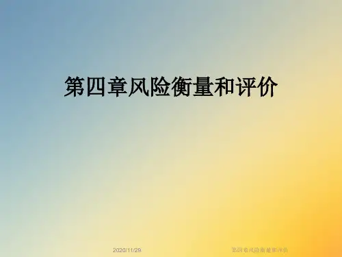 第四章风险衡量和评价
