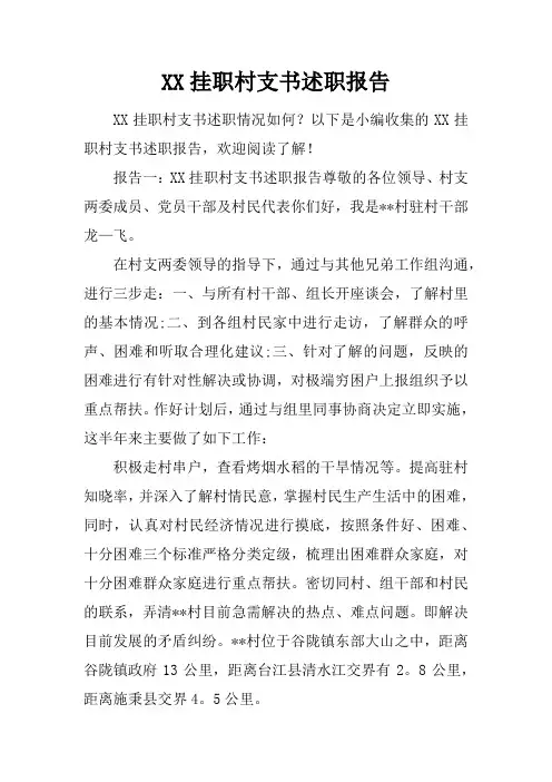 挂职村支书述职报告