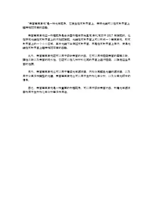 表面等离激元