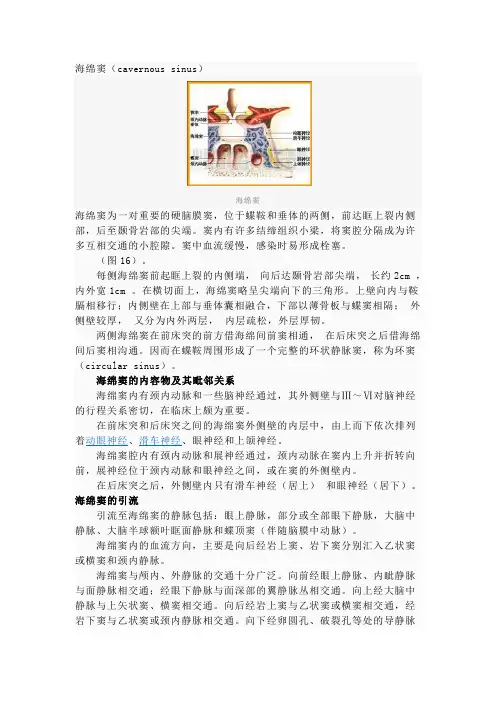 海绵窦