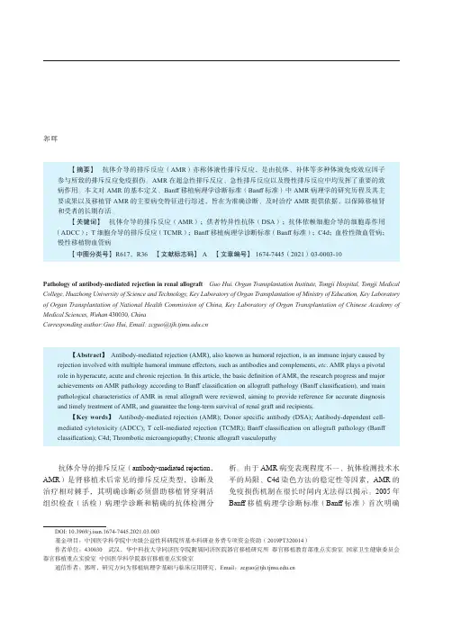 移植肾抗体介导的排斥反应的病理学