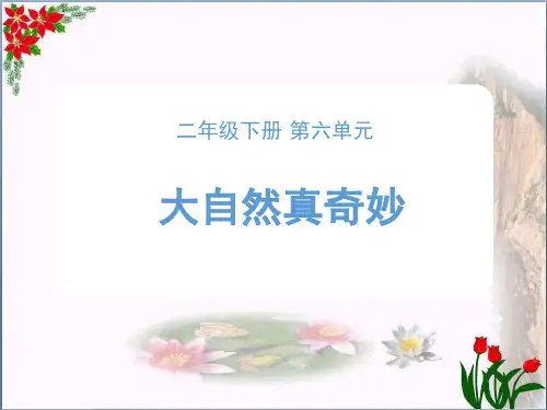 《大自然真奇妙》PPT教学课件 人教部编版 (共12张PPT)