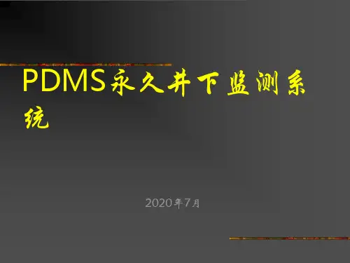 PDMS永久井下监测系统