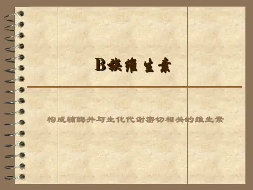 营养学基础知识 维生素B