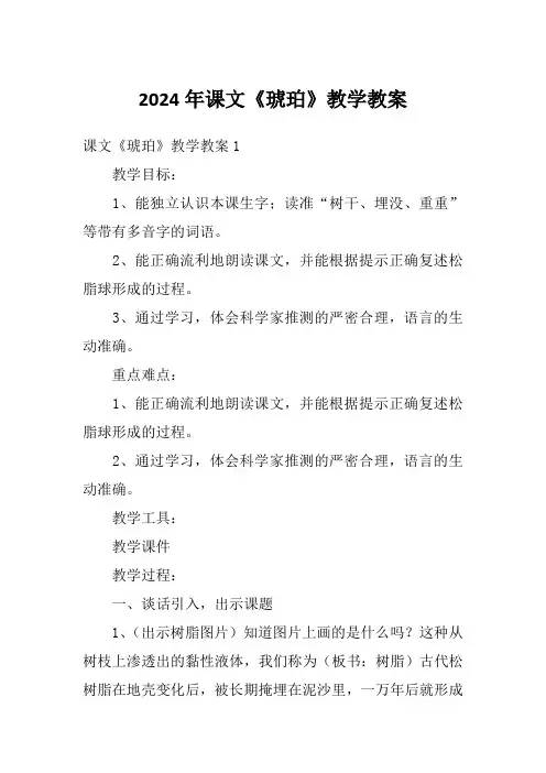 2024年课文《琥珀》教学教案