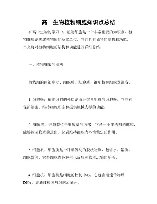 高一生物植物细胞知识点总结