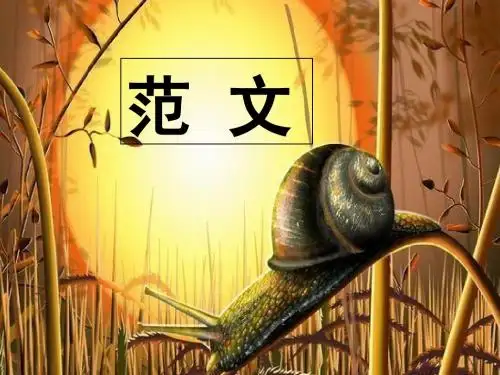 想登泰山的蜗牛——新材料讲评