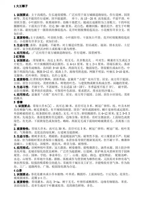 亚热带常用的种树种