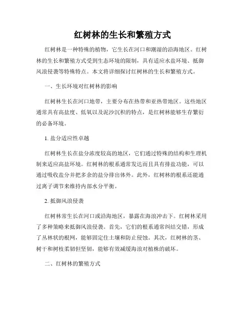 红树林的生长和繁殖方式