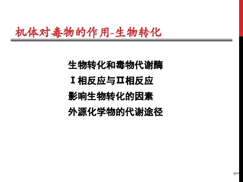 毒动学-生物转化
