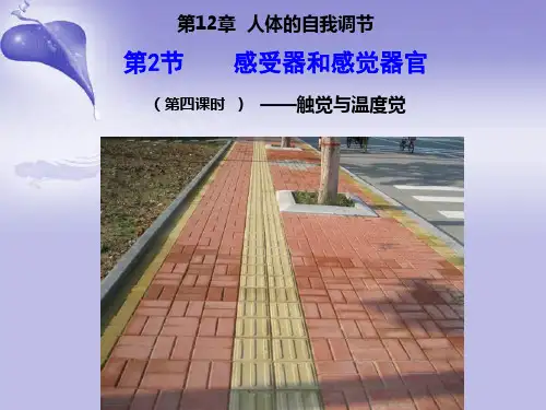 北师大版生物七年级下册12章2节感受器和感觉器官四课时精品课件