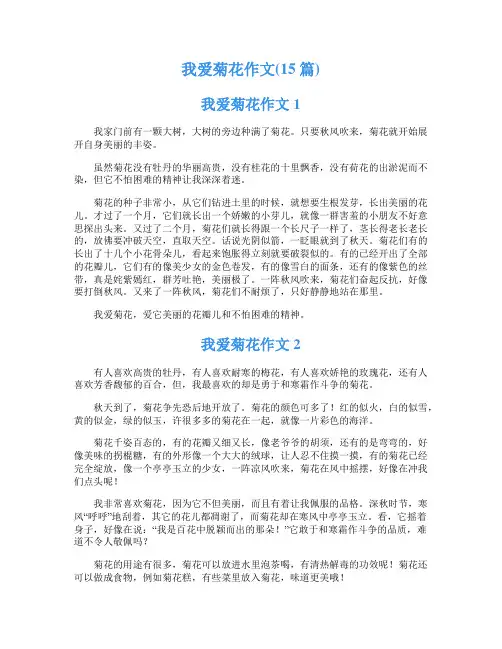 我爱菊花作文(15篇)