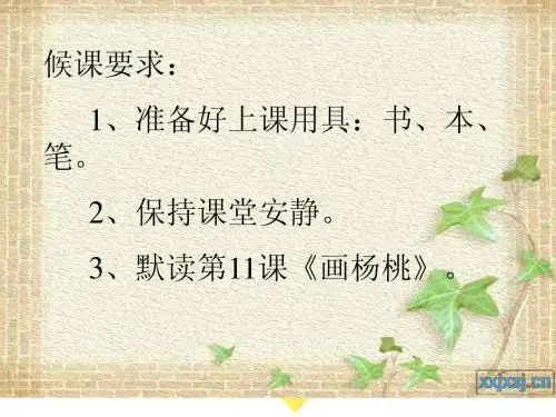 11画杨桃课件ppt