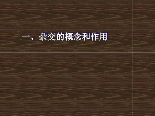 畜禽杂交利用技术