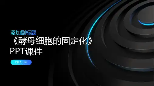 《酵母细胞的固定化》课件