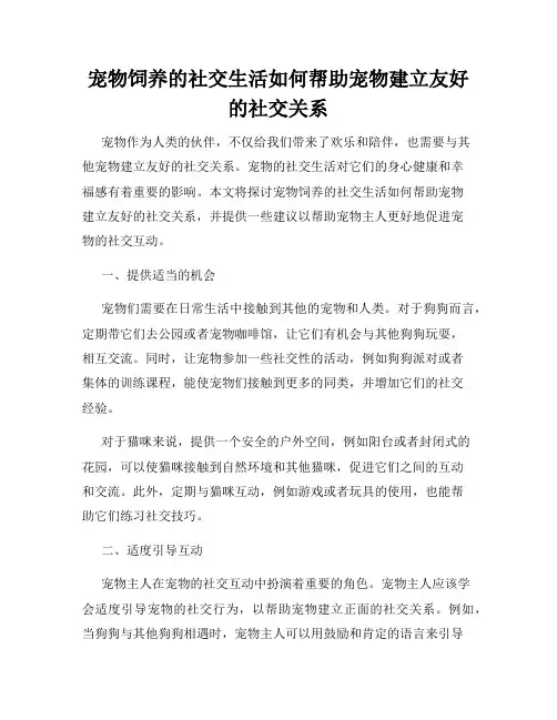 宠物饲养的社交生活如何帮助宠物建立友好的社交关系