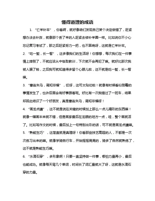 懂得道理的成语